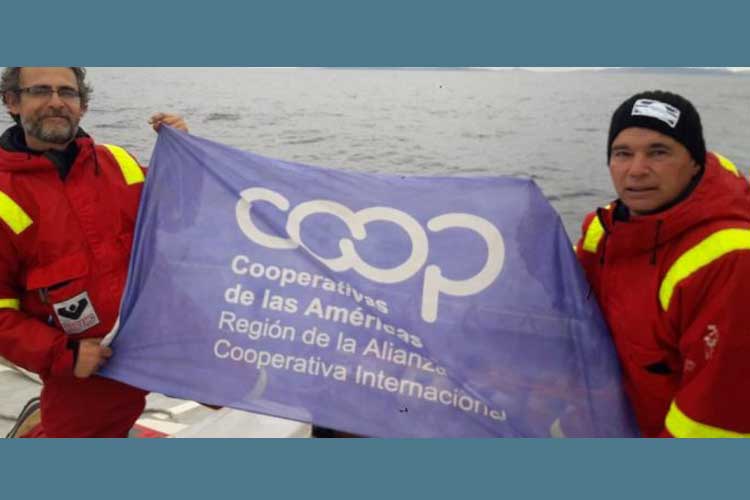 Cooperativismo bajo cero