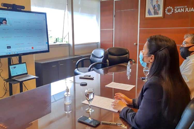 Reunión virtual de los directores de cooperativas y mutuales de la región cuyo 